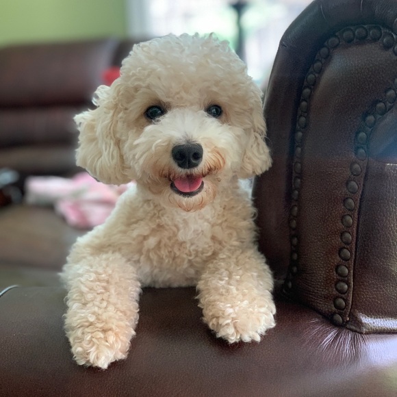 Meet your Posher, Seyeong - Picture 1 of 1